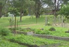NSW Parkesresidential-landscaping-39.jpg; ?>