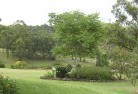 NSW Parkesresidential-landscaping-40.jpg; ?>